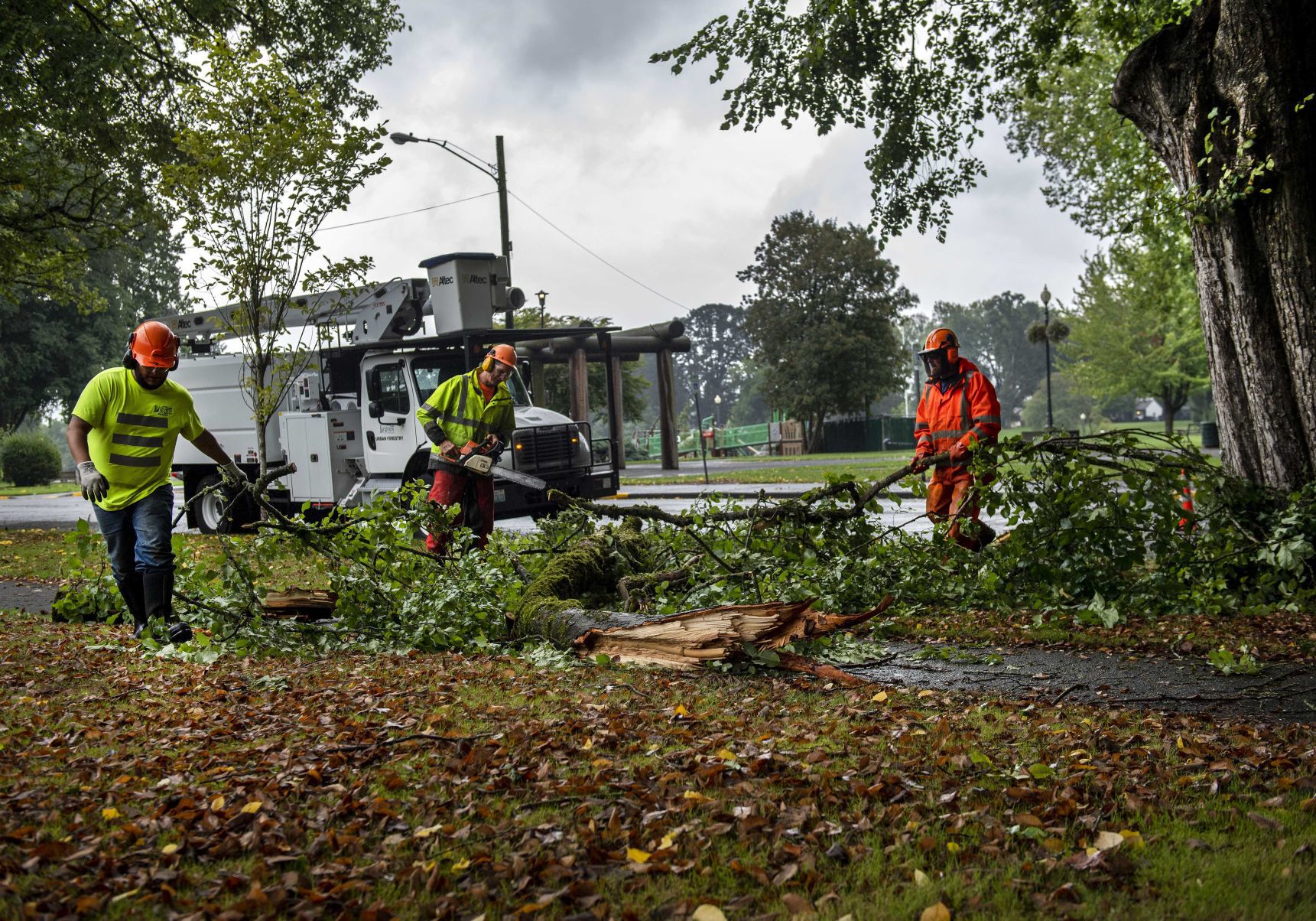 Longview parks crew removes fallen tree limbs